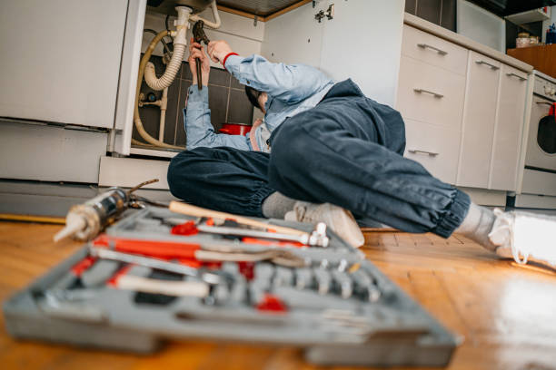 Best Clogged Drain Plumber  in Alma, MI